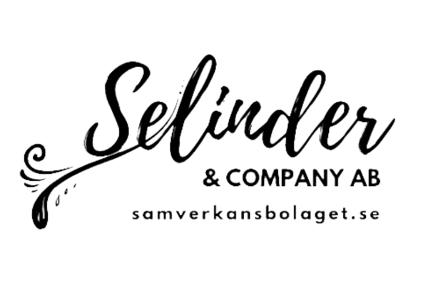 Linkedin Coachen Selinder & Co