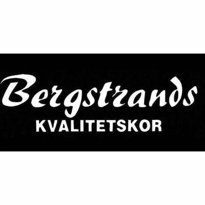Bergstrands skor AB